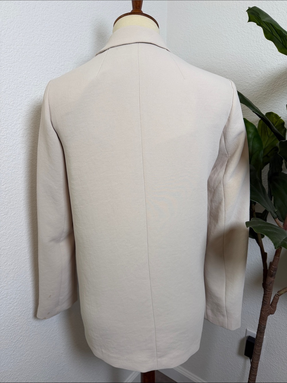 Aritzia Button Blazer - Picture 8 of 16